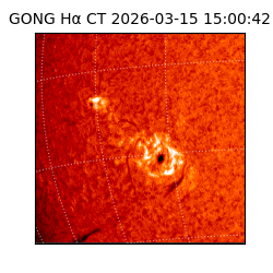 gong - 2026-03-15T15:00:42