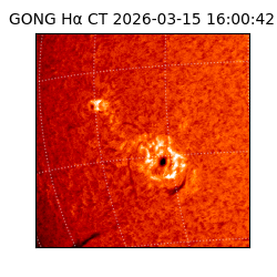 gong - 2026-03-15T16:00:42