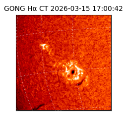 gong - 2026-03-15T17:00:42