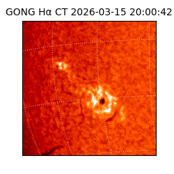 gong - 2026-03-15T20:00:42