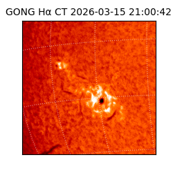 gong - 2026-03-15T21:00:42