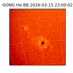 gong - 2026-03-15T23:00:02