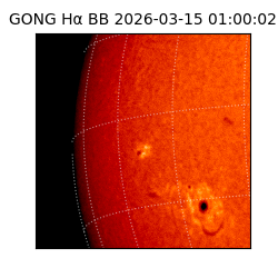 gong - 2026-03-15T01:00:02