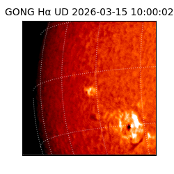 gong - 2026-03-15T10:00:02