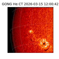 gong - 2026-03-15T12:00:42