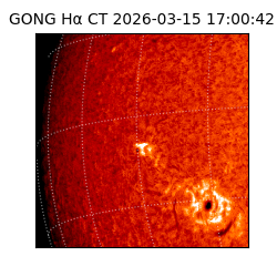 gong - 2026-03-15T17:00:42