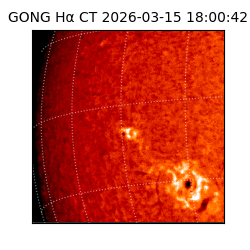 gong - 2026-03-15T18:00:42