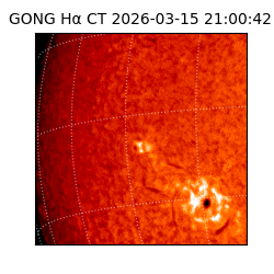 gong - 2026-03-15T21:00:42