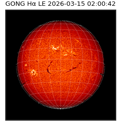 gong - 2026-03-15T02:00:42