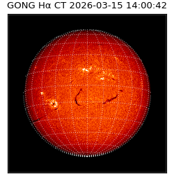 gong - 2026-03-15T14:00:42