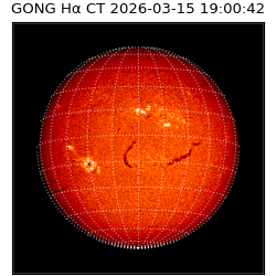 gong - 2026-03-15T19:00:42