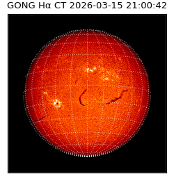 gong - 2026-03-15T21:00:42
