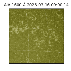 saia - 2026-03-16T09:00:14.123000