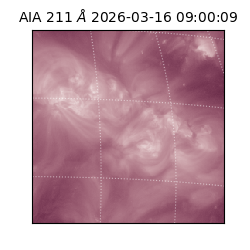 saia - 2026-03-16T09:00:09.623000