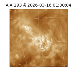 saia - 2026-03-16T01:00:04.842000