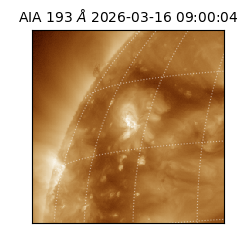 saia - 2026-03-16T09:00:04.842000