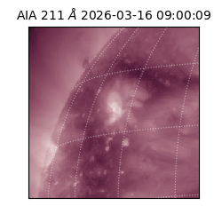 saia - 2026-03-16T09:00:09.623000