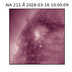 saia - 2026-03-16T10:00:09.638000