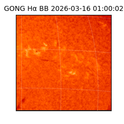 gong - 2026-03-16T01:00:02