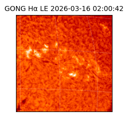 gong - 2026-03-16T02:00:42