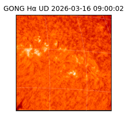 gong - 2026-03-16T09:00:02