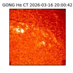 gong - 2026-03-16T20:00:42