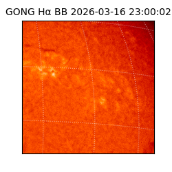 gong - 2026-03-16T23:00:02