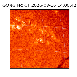 gong - 2026-03-16T14:00:42