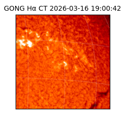 gong - 2026-03-16T19:00:42