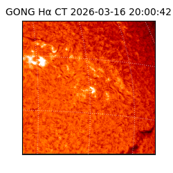 gong - 2026-03-16T20:00:42