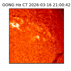 gong - 2026-03-16T21:00:42