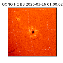 gong - 2026-03-16T01:00:02