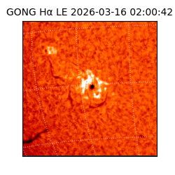 gong - 2026-03-16T02:00:42