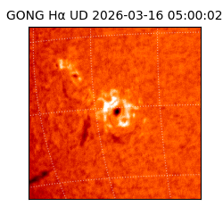 gong - 2026-03-16T05:00:02