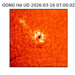 gong - 2026-03-16T07:00:02