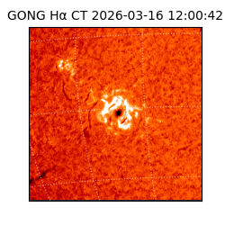 gong - 2026-03-16T12:00:42