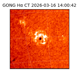 gong - 2026-03-16T14:00:42