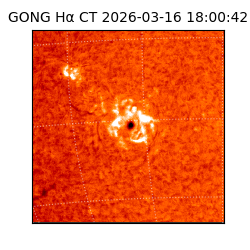 gong - 2026-03-16T18:00:42