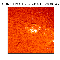 gong - 2026-03-16T20:00:42