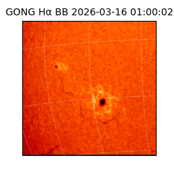 gong - 2026-03-16T01:00:02