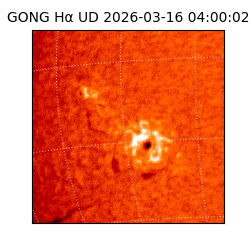 gong - 2026-03-16T04:00:02