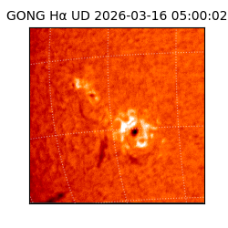 gong - 2026-03-16T05:00:02