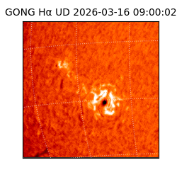 gong - 2026-03-16T09:00:02