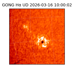 gong - 2026-03-16T10:00:02