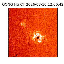 gong - 2026-03-16T12:00:42