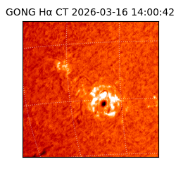 gong - 2026-03-16T14:00:42