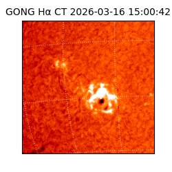 gong - 2026-03-16T15:00:42