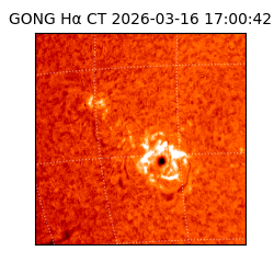 gong - 2026-03-16T17:00:42