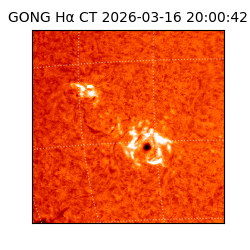 gong - 2026-03-16T20:00:42