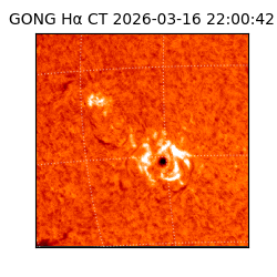 gong - 2026-03-16T22:00:42